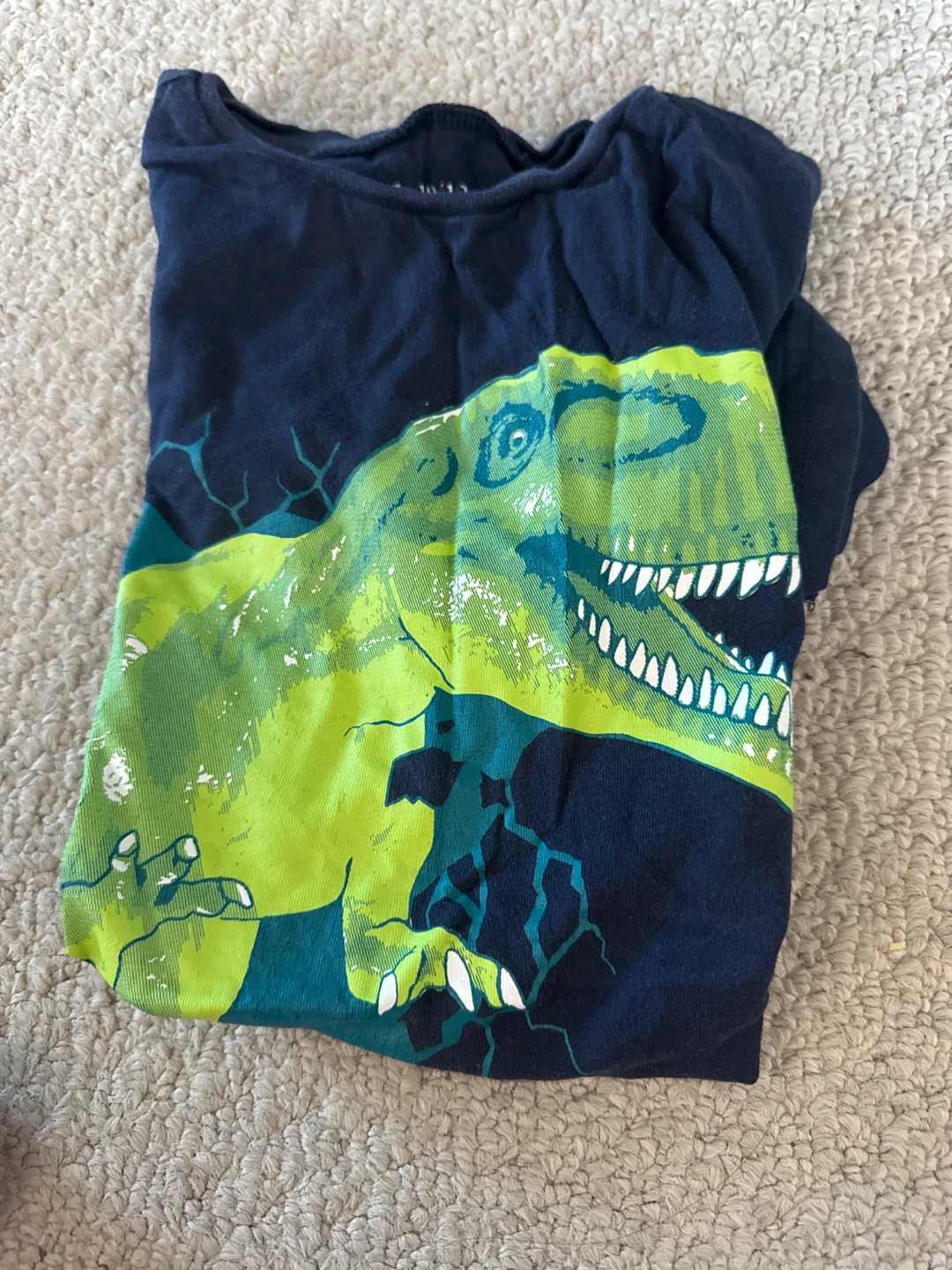 Dino t shirt
