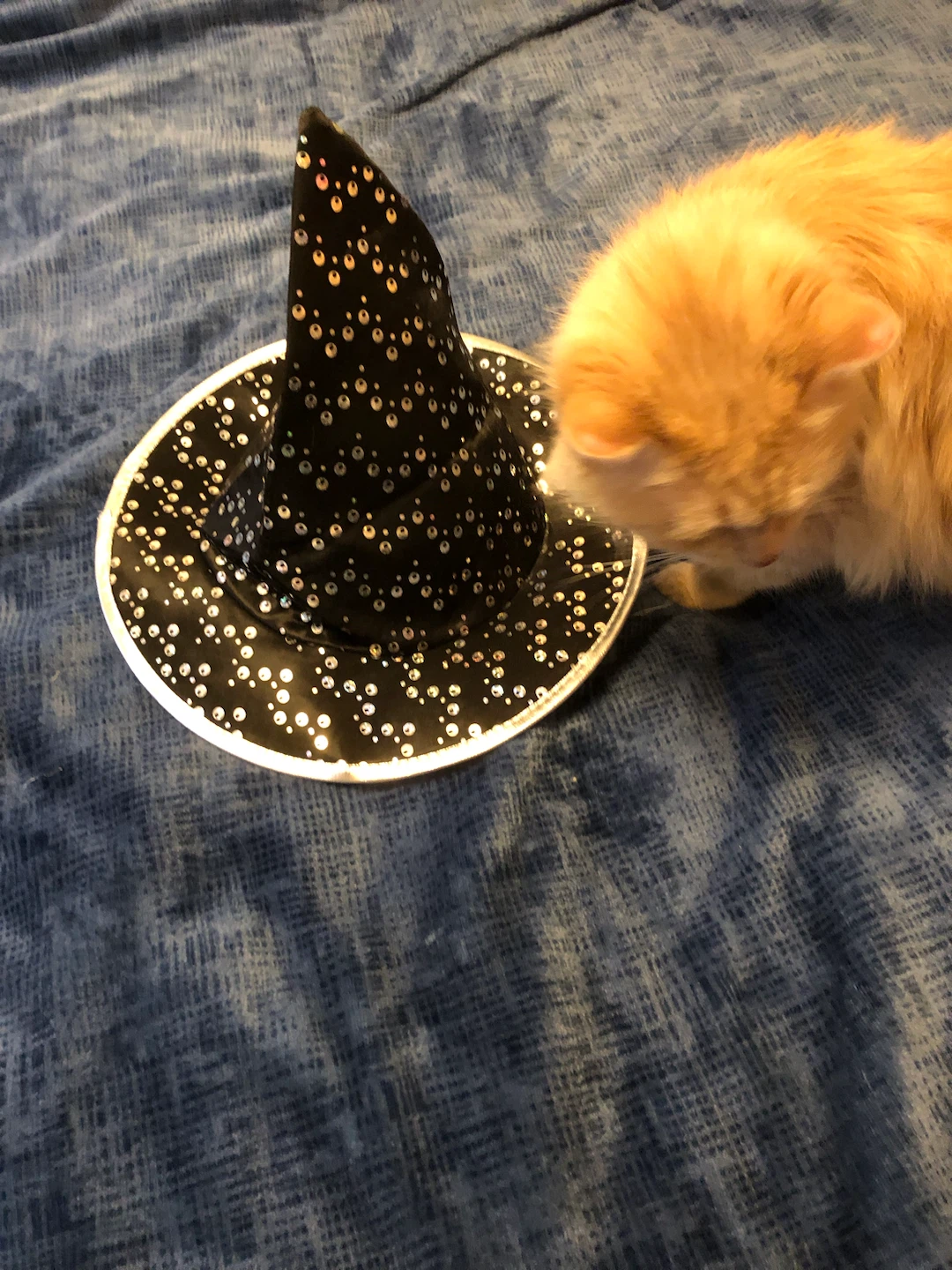 Sparkly Black Witch Hat