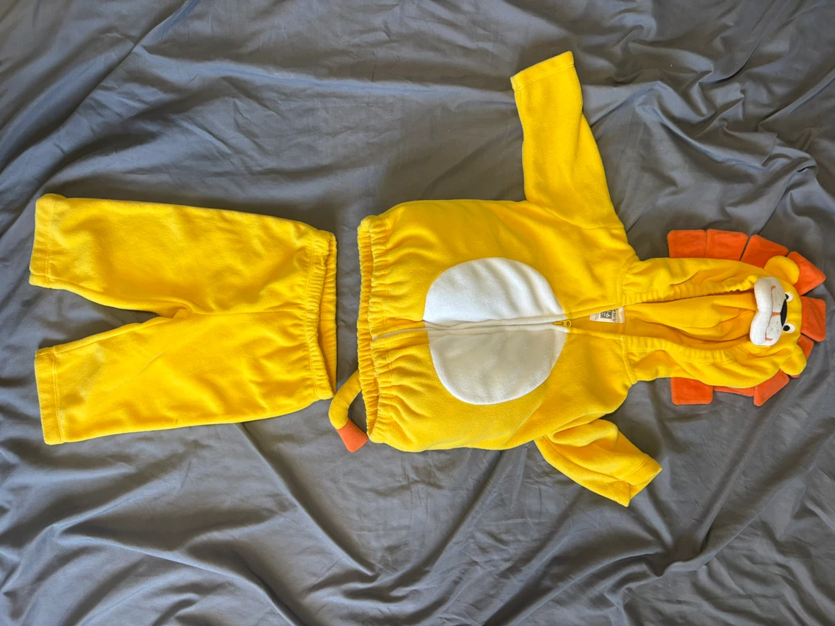 Carter's Lion Fleece Costume Set