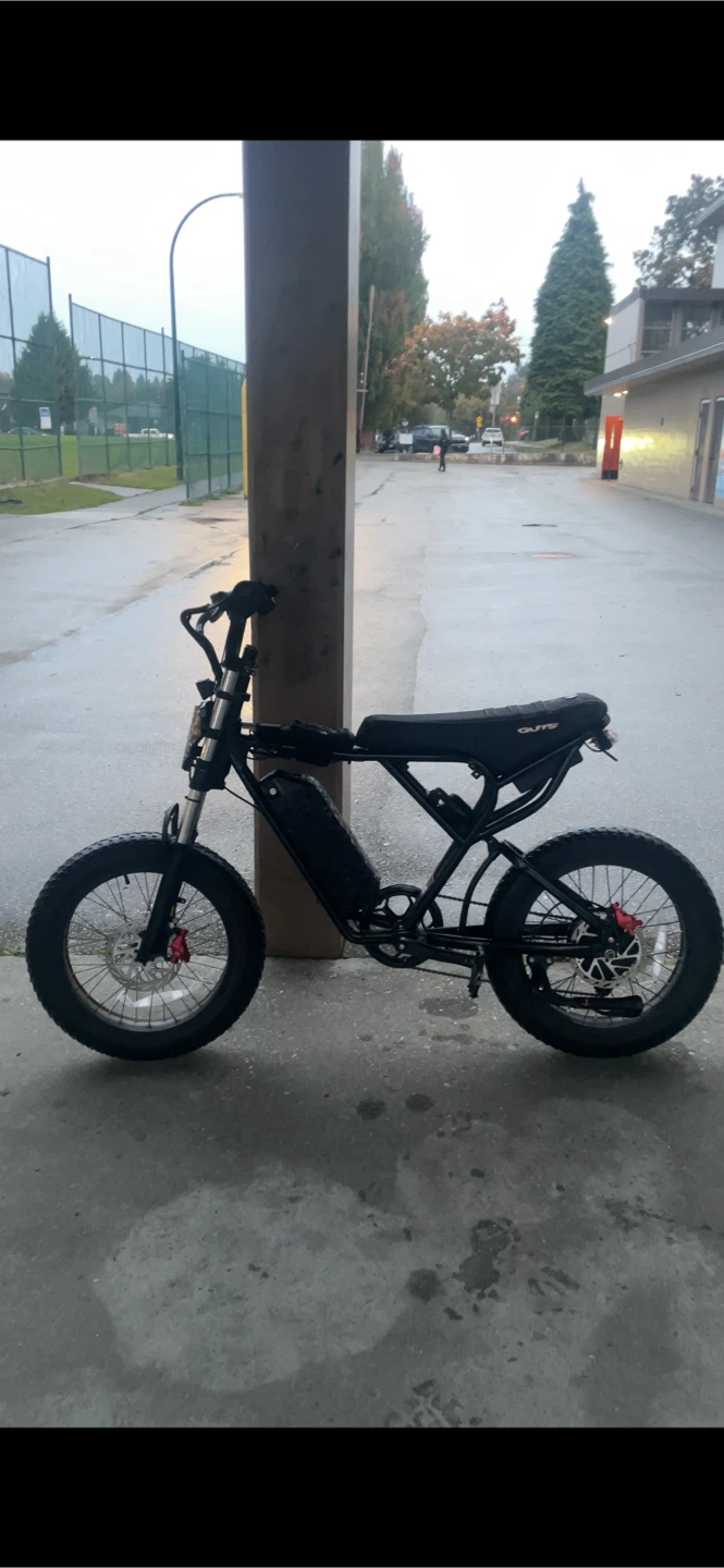 Ridstar Q20 E-bike - photo 3