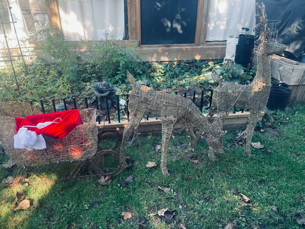 Lighted Christmas Sleigh and Two Reindeer Set - photo 5