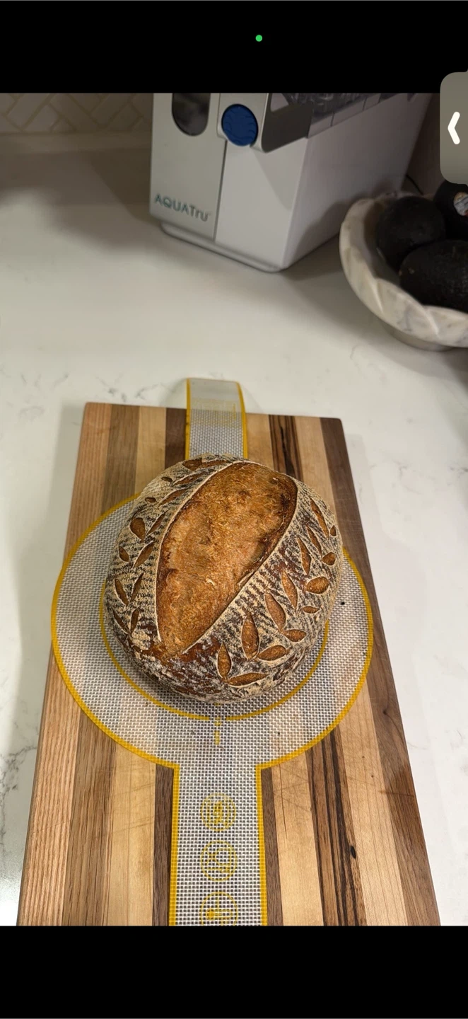Gluten Free Sourdough Bread, Starter & Sandwich Bread!