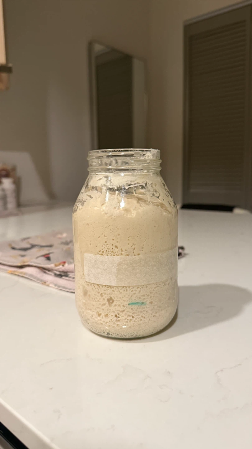 Gluten Free Sourdough Bread, Starter & Sandwich Bread! - photo 4