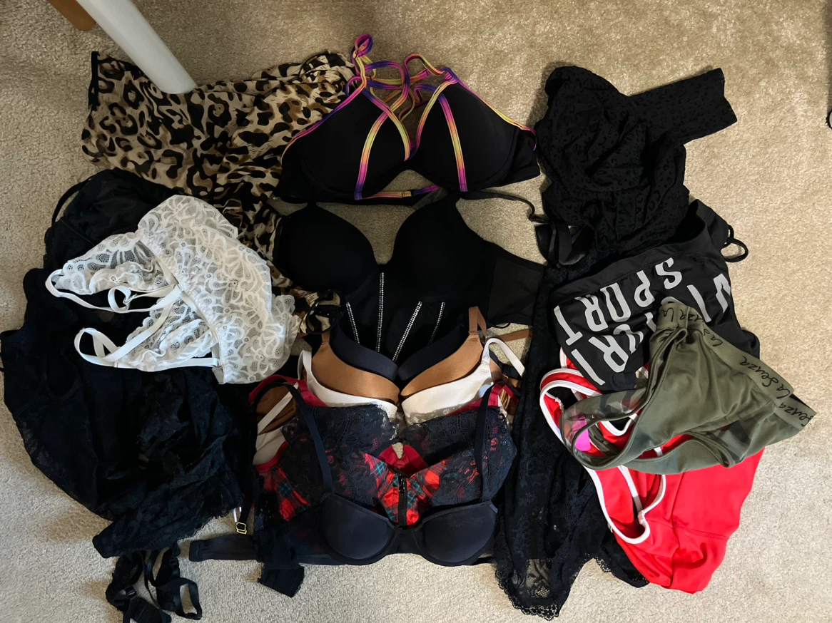 Assorted Women's Bra and Lingerie Lot Size Small / 34C