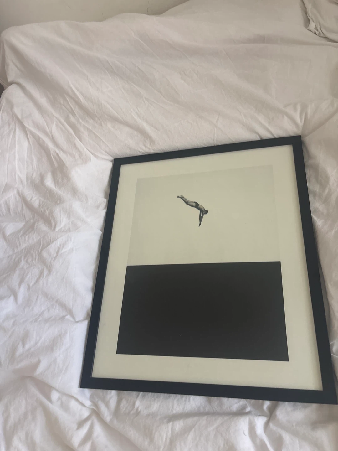 Framed Diver Wall Art
