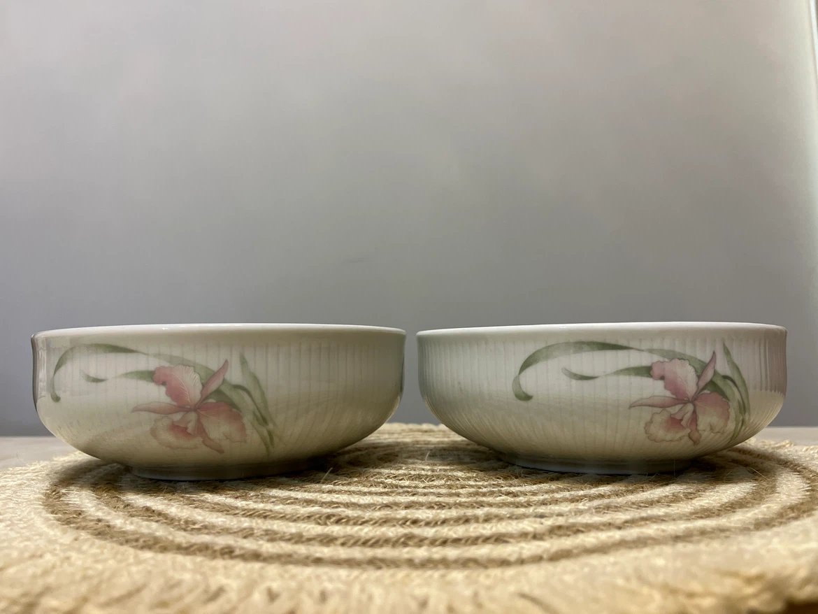 Set of 2 Vintage Porcelain Floral Bowls