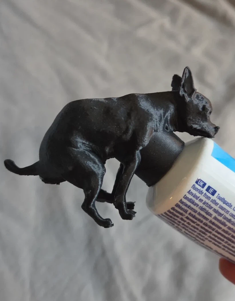 Toothpaste Pooping Dog 🐶