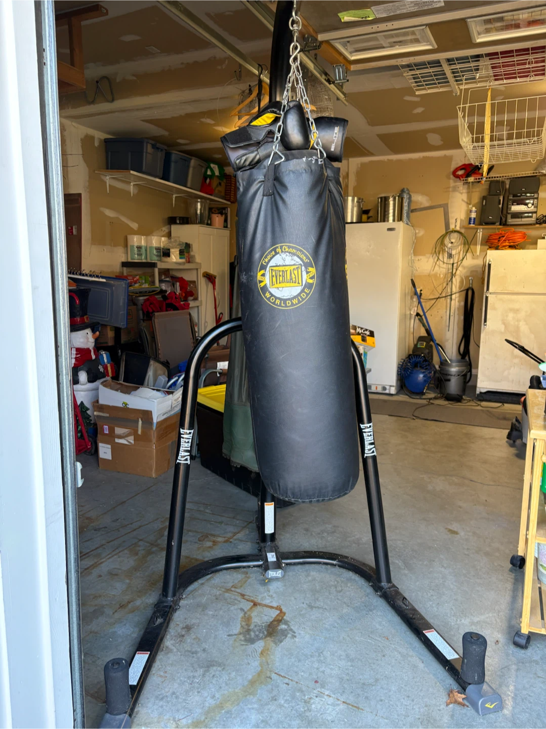 Everlast Boxing Heavy Bag with Stand
