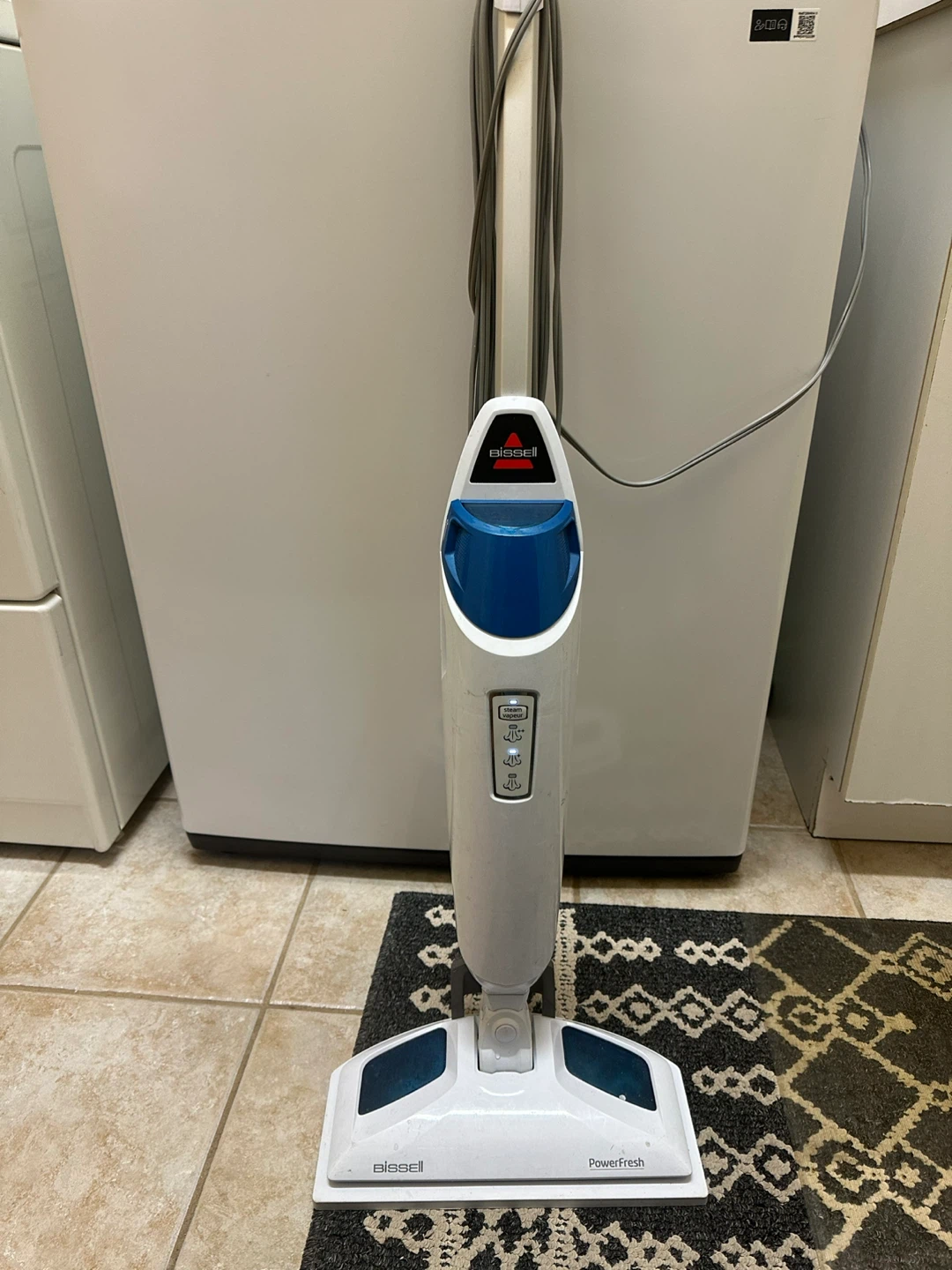 Bissell Powerfresh Steam Mop, mini corn Brooms