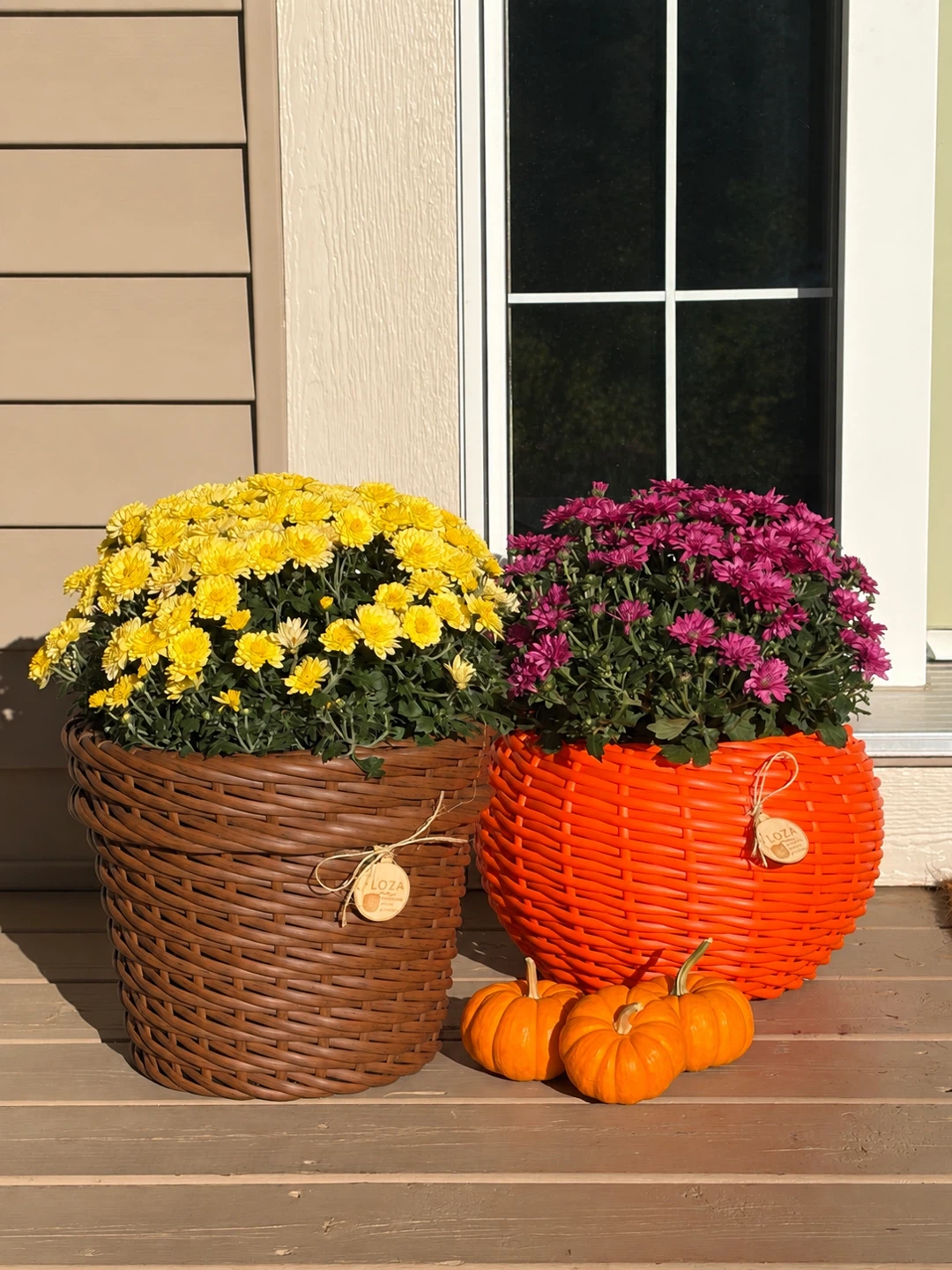 Handmade pumpkin planters 🎃 Halloween decorations - photo 3