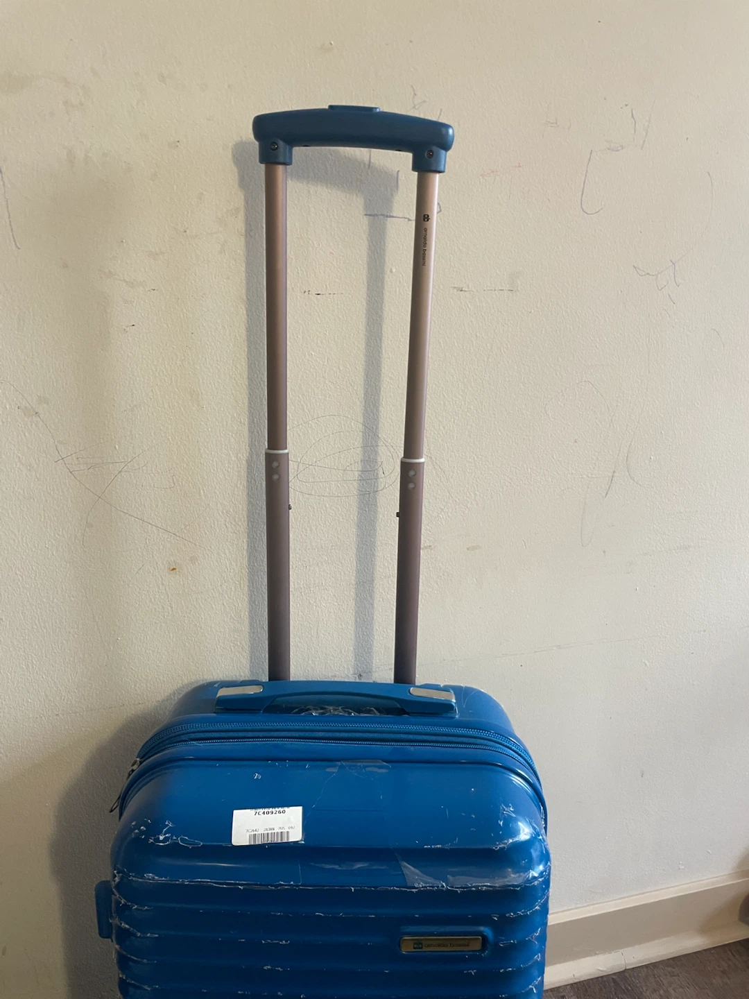 Arnaldo Bassini Blue Carry-On Luggage - photo 2