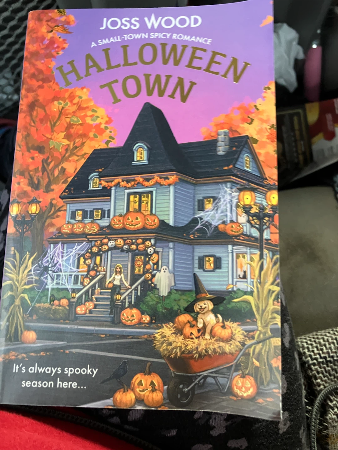 Halloween Town by Joss Wood