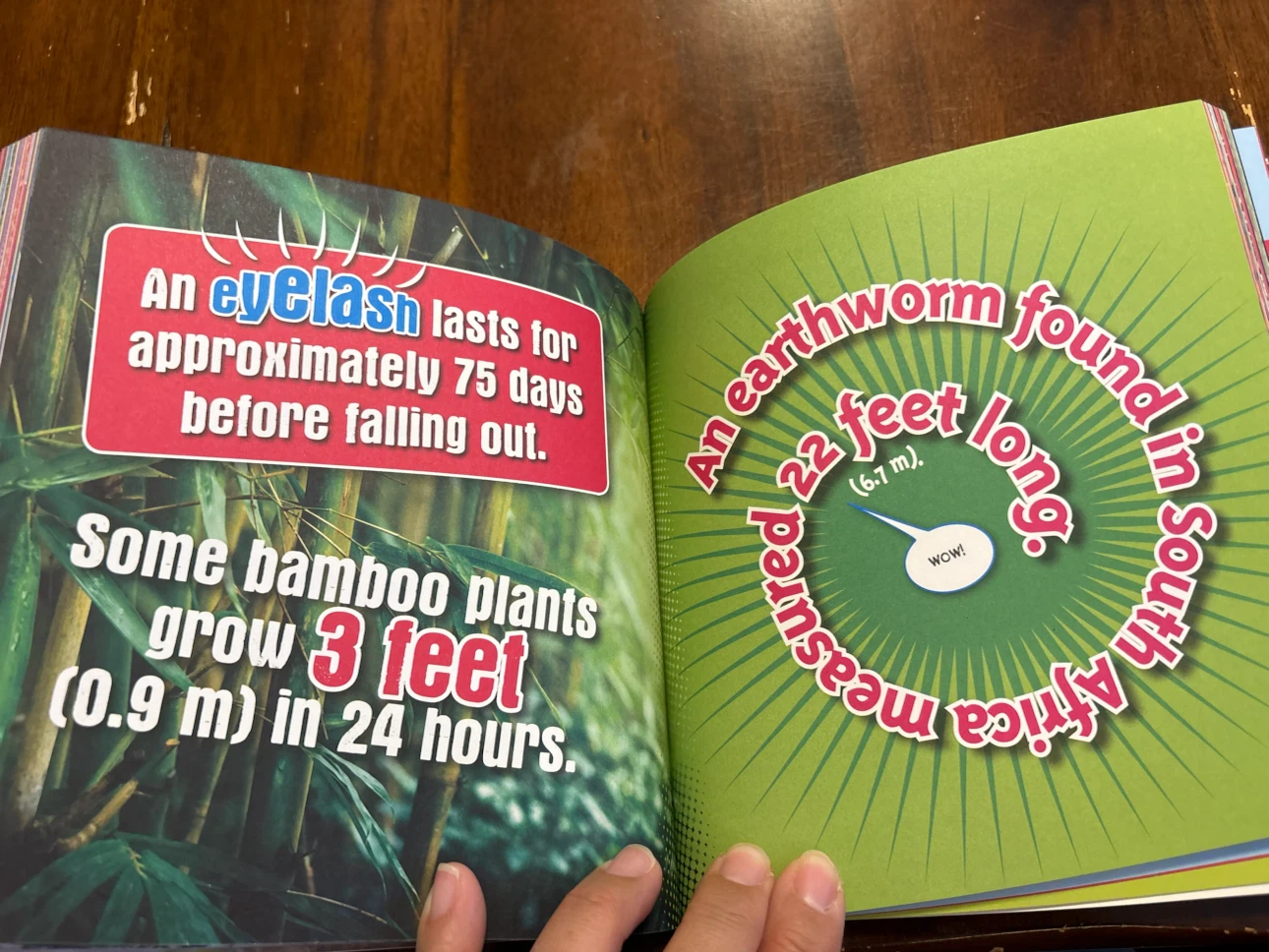 Ripley's Believe It or Not! Kids Fun Facts & Silly Stories - photo 2
