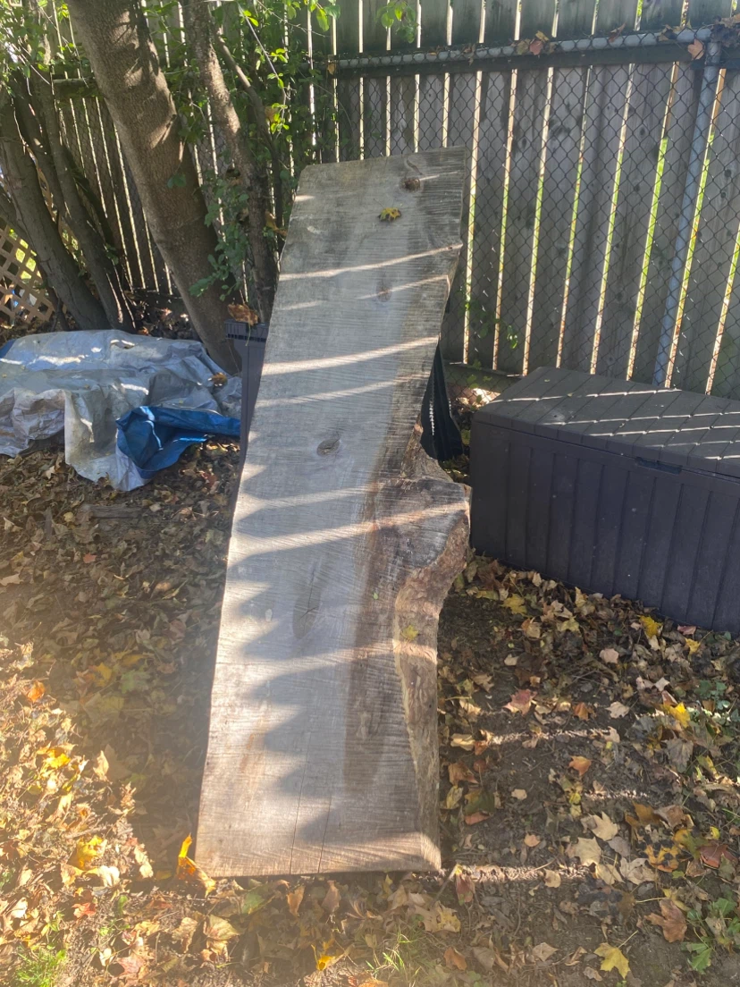 Live edge wood slab
