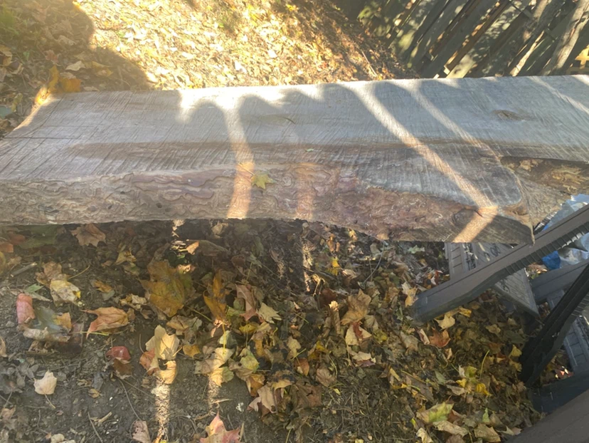 Live edge wood slab - photo 3