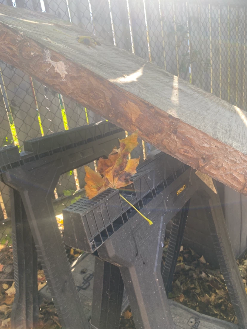 Live edge wood slab - photo 4