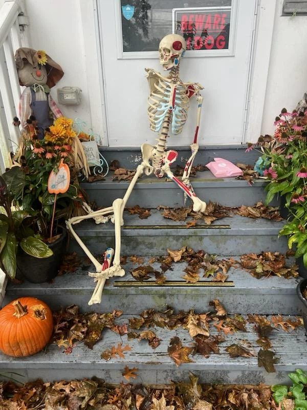 Full size, anatomically correct skeleton