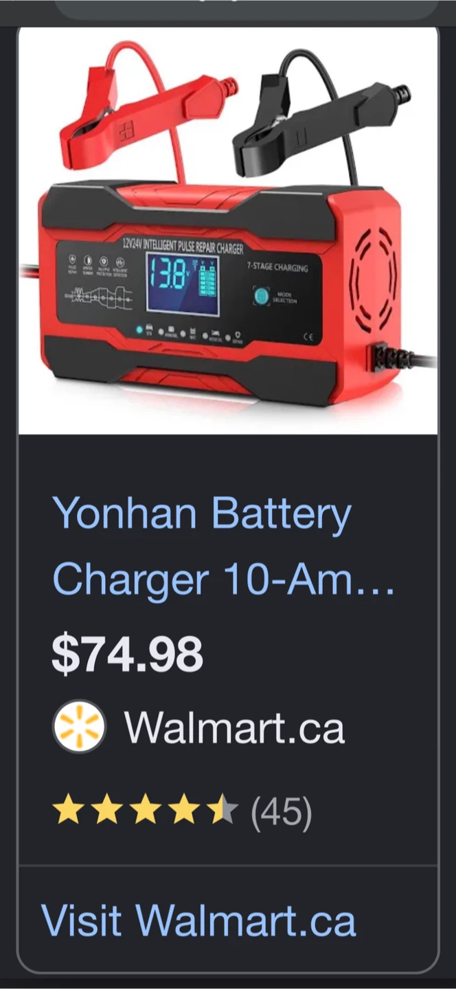 Yonhan Intelligent Pulse Repair Battery Charger