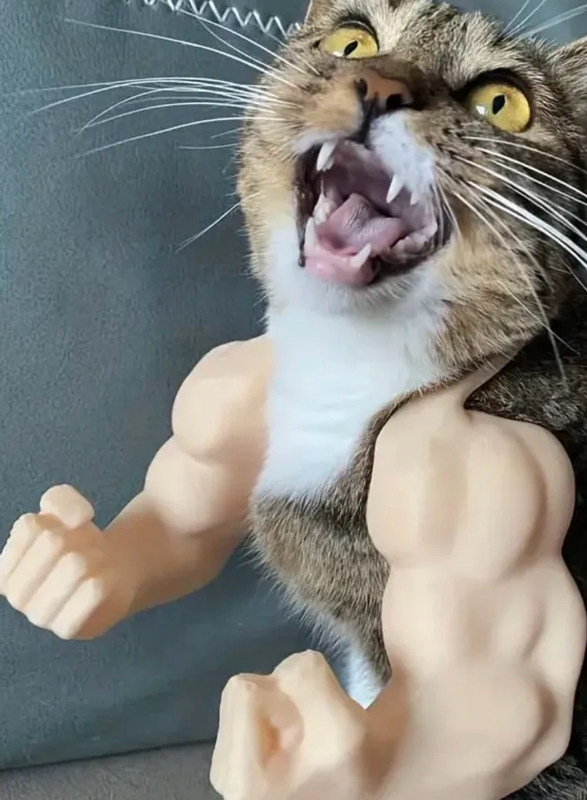 Cat Muscle Toy Arms