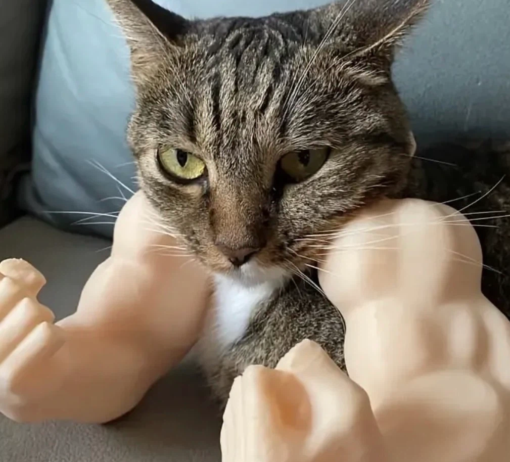 Cat Muscle Toy Arms - photo 2