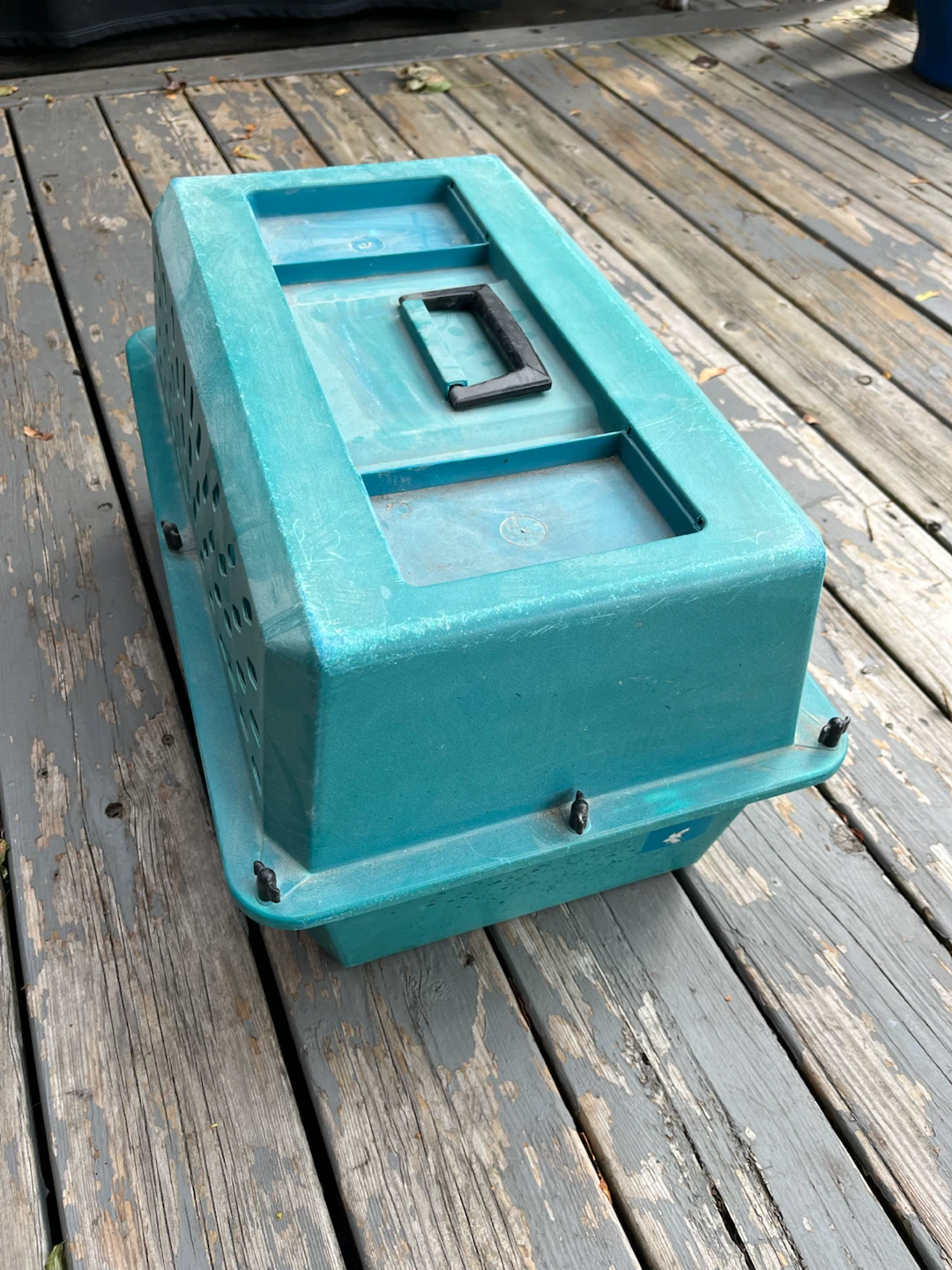 Pet Transport - photo 4