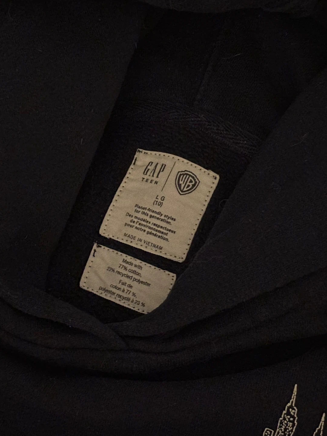 Gap Teen x Friends Hoodie - photo 4