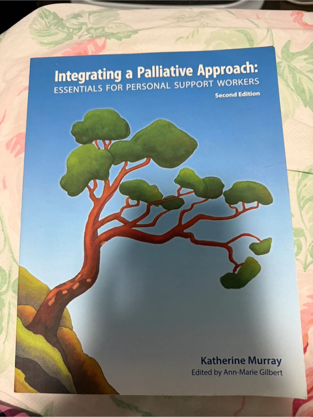 Integrating a Palliative Approach Second Edition