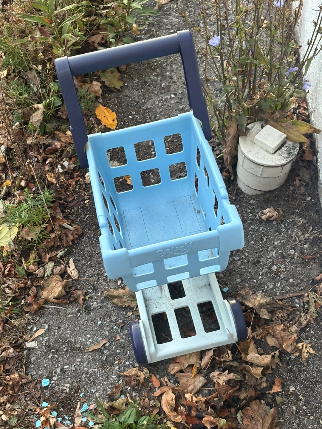 Bluey Toy Shopping Cart