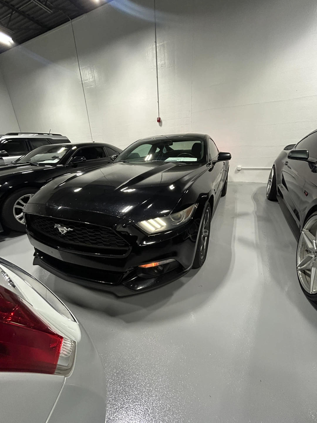 Ford Mustang Coupe Black manual