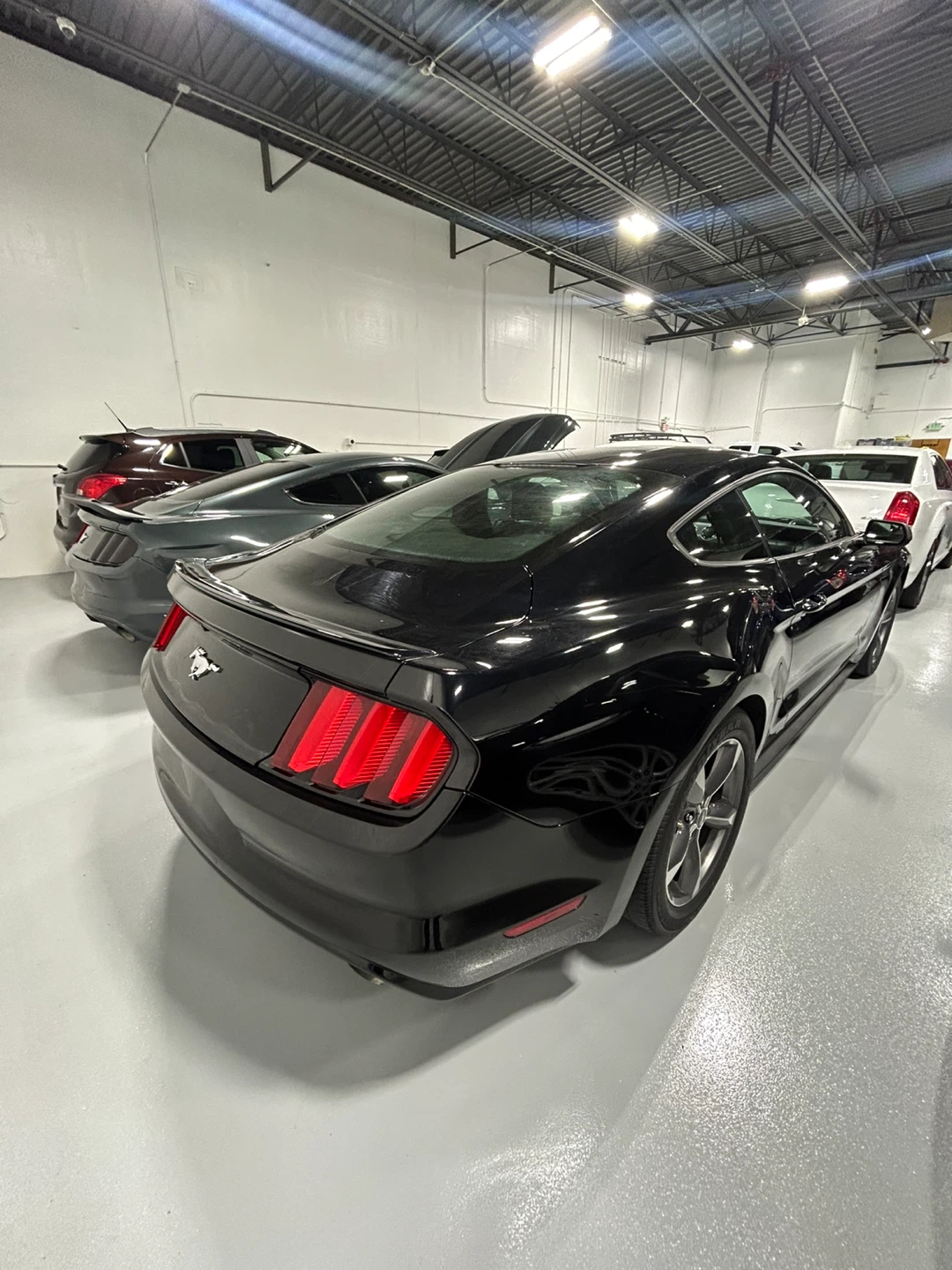 Ford Mustang Coupe Black manual - photo 3