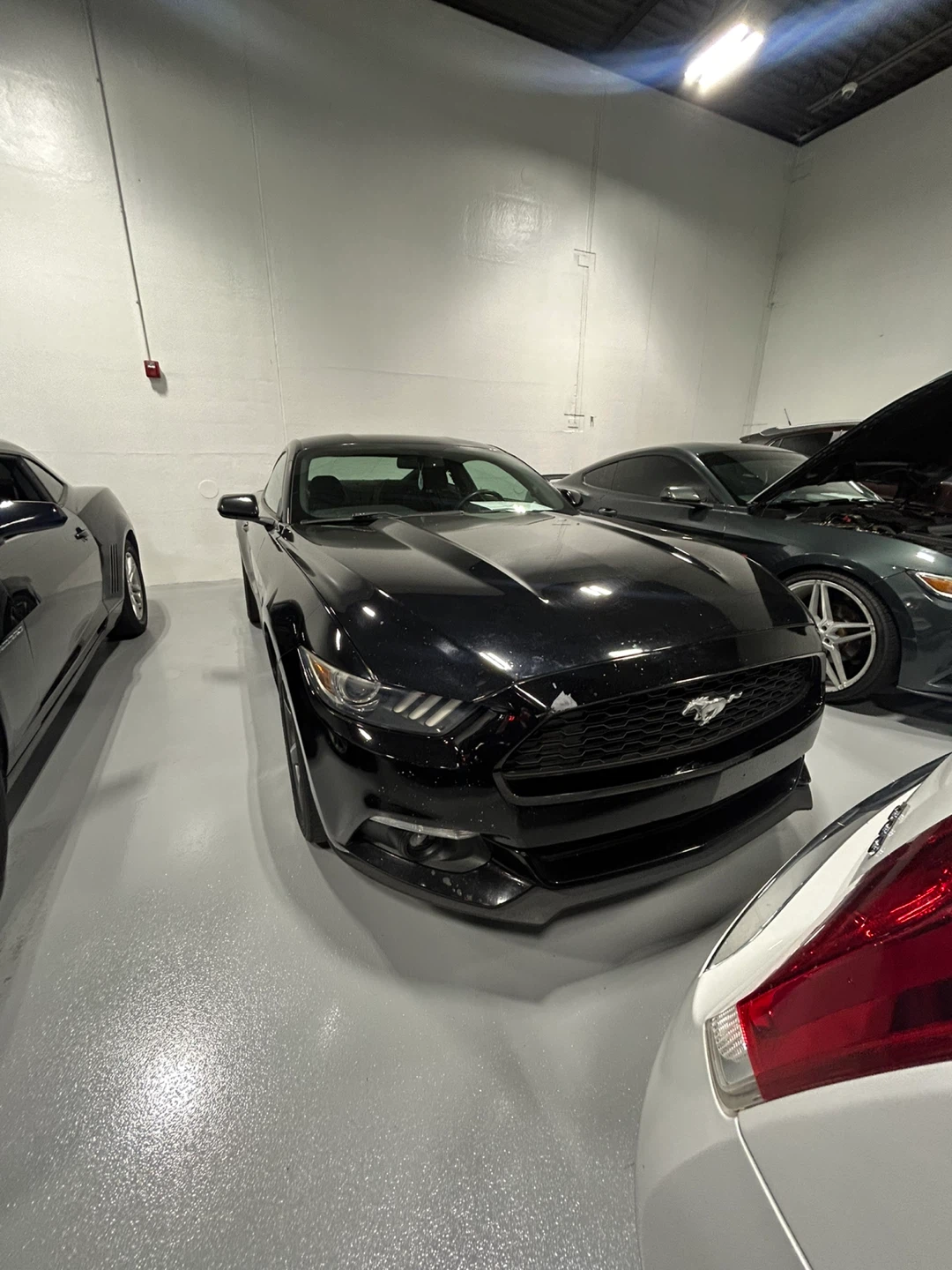 Ford Mustang Coupe Black manual - photo 4