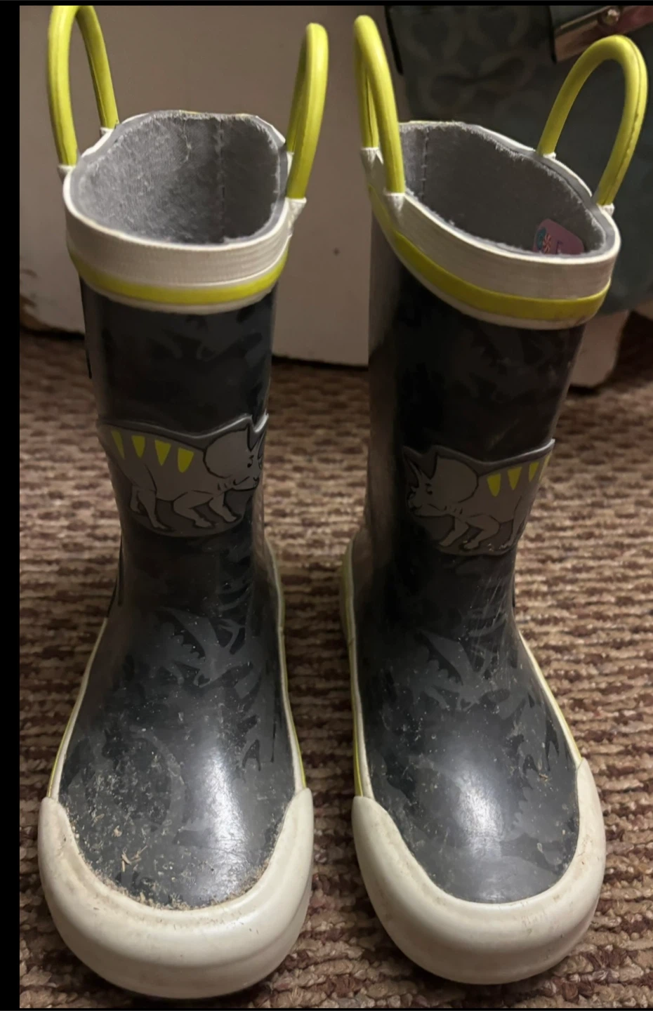 Kids Dinosaur Rain Boots Size 6