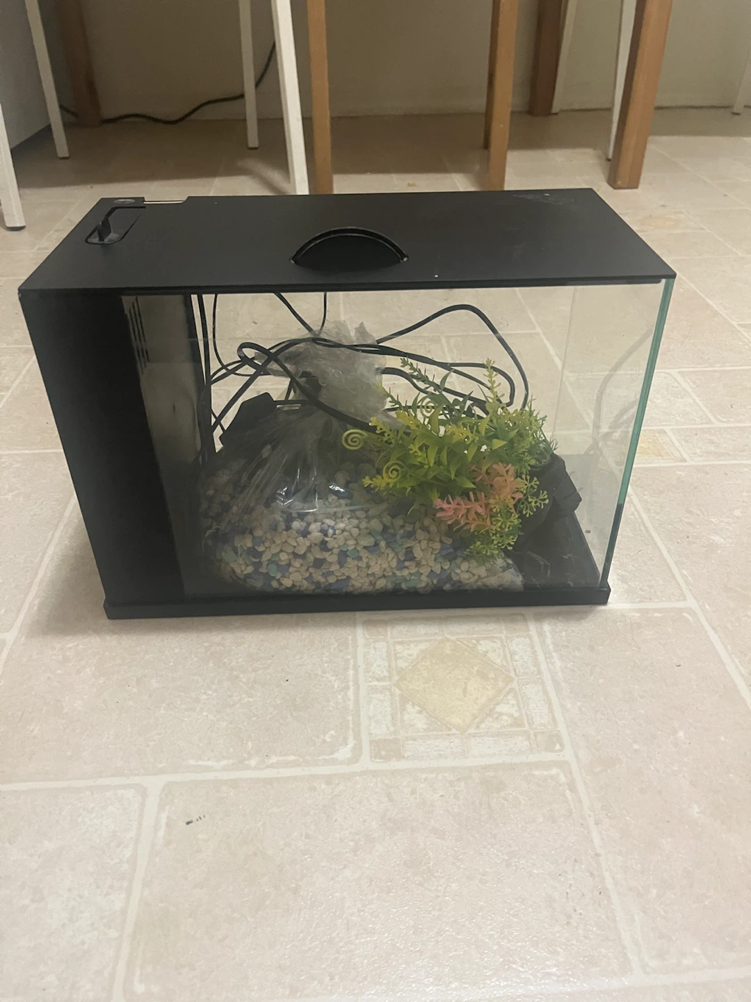 Small Glass Aquarium with Integrated Light