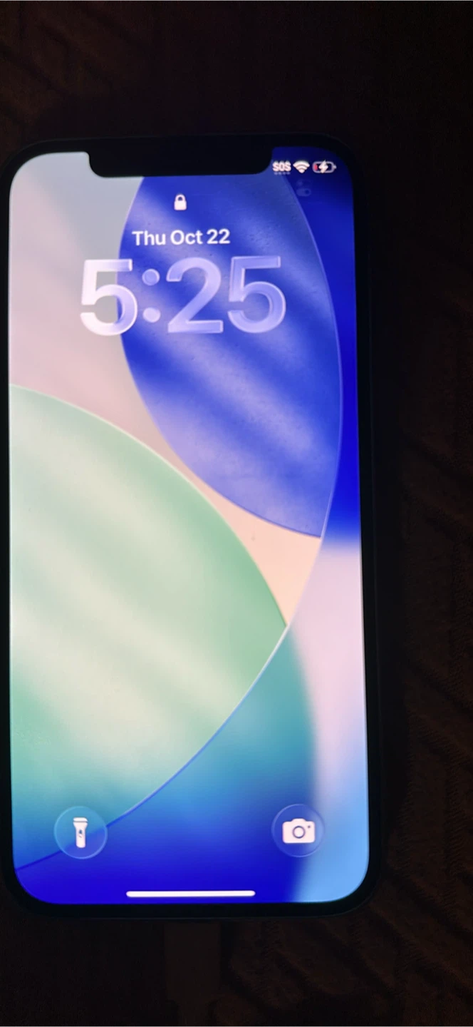 Apple iPhone 12 Purple - photo 4