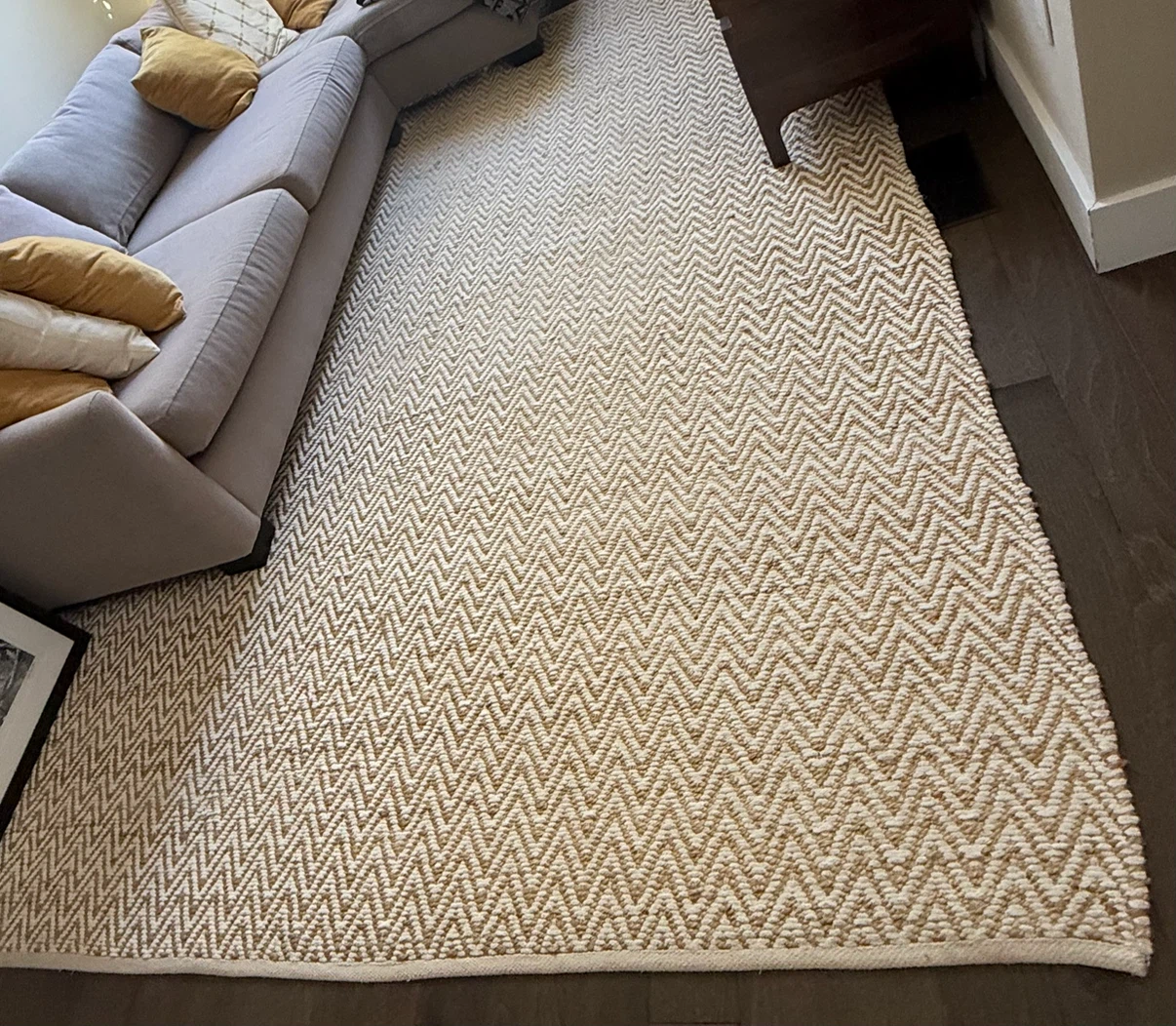 West Elm Jute Chenille Herringbone Rug