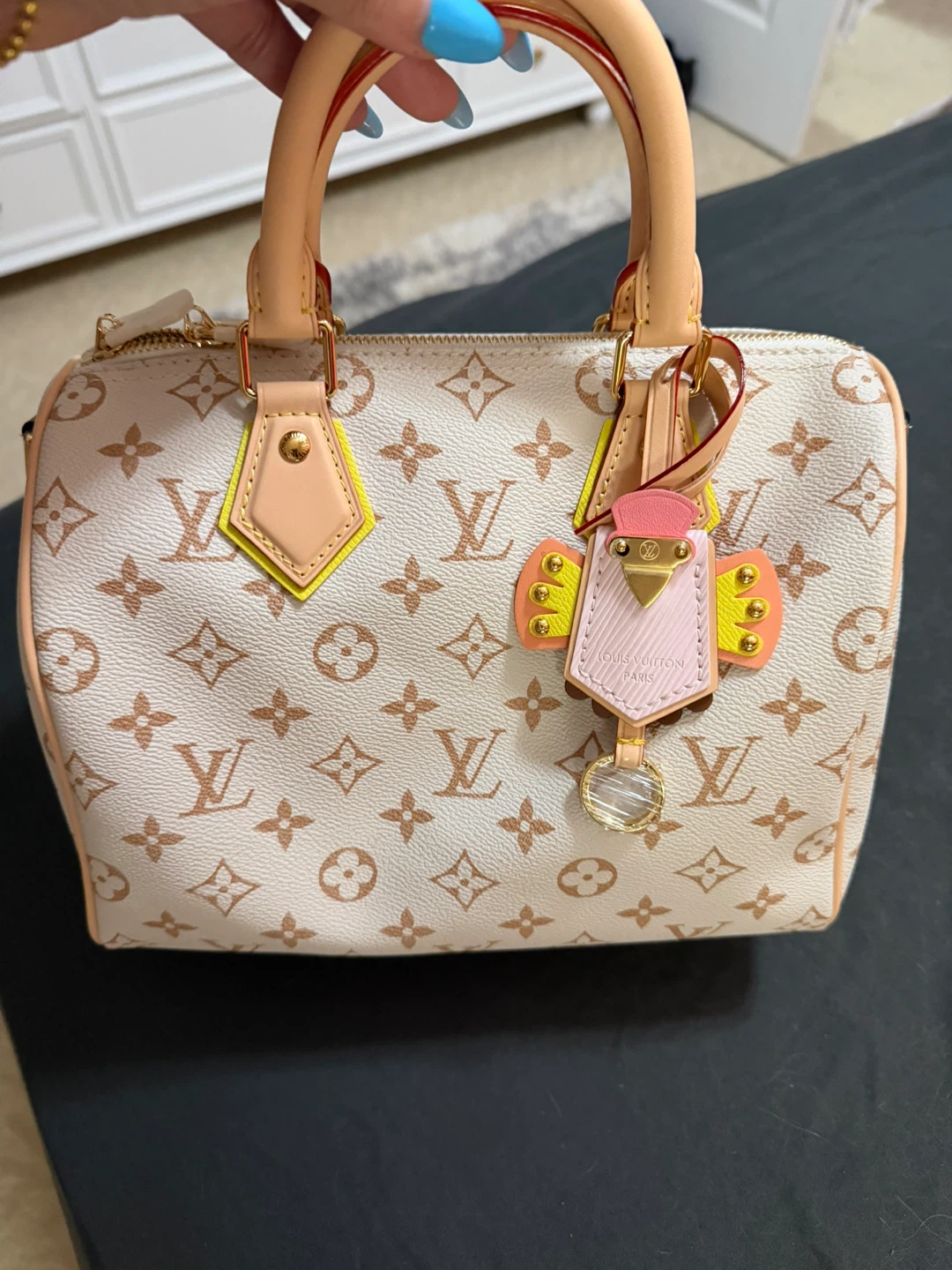 Louis Vuitton Speedy Bandoulière 20 Handbag