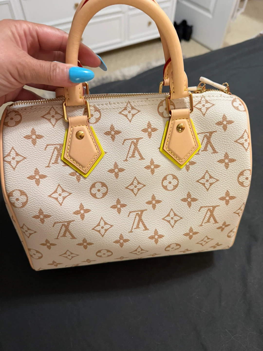 Louis Vuitton Speedy Bandoulière 20 Handbag - photo 2
