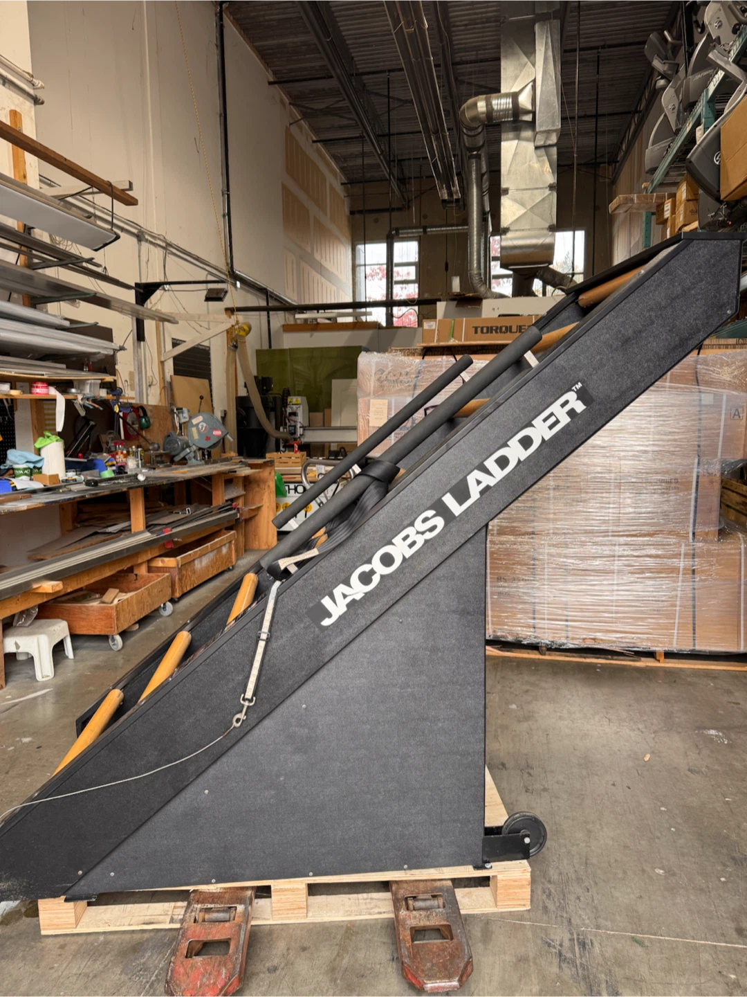Jacobs Ladder Cardio Machine