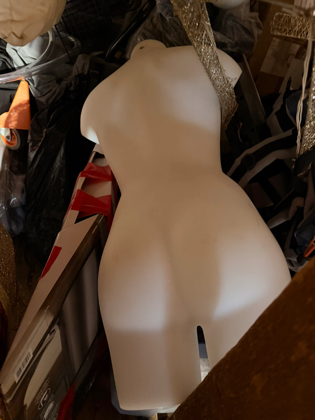 Female Torso Mannequin Display