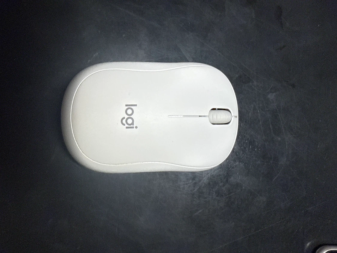 Logitech M240 wireless mouse
