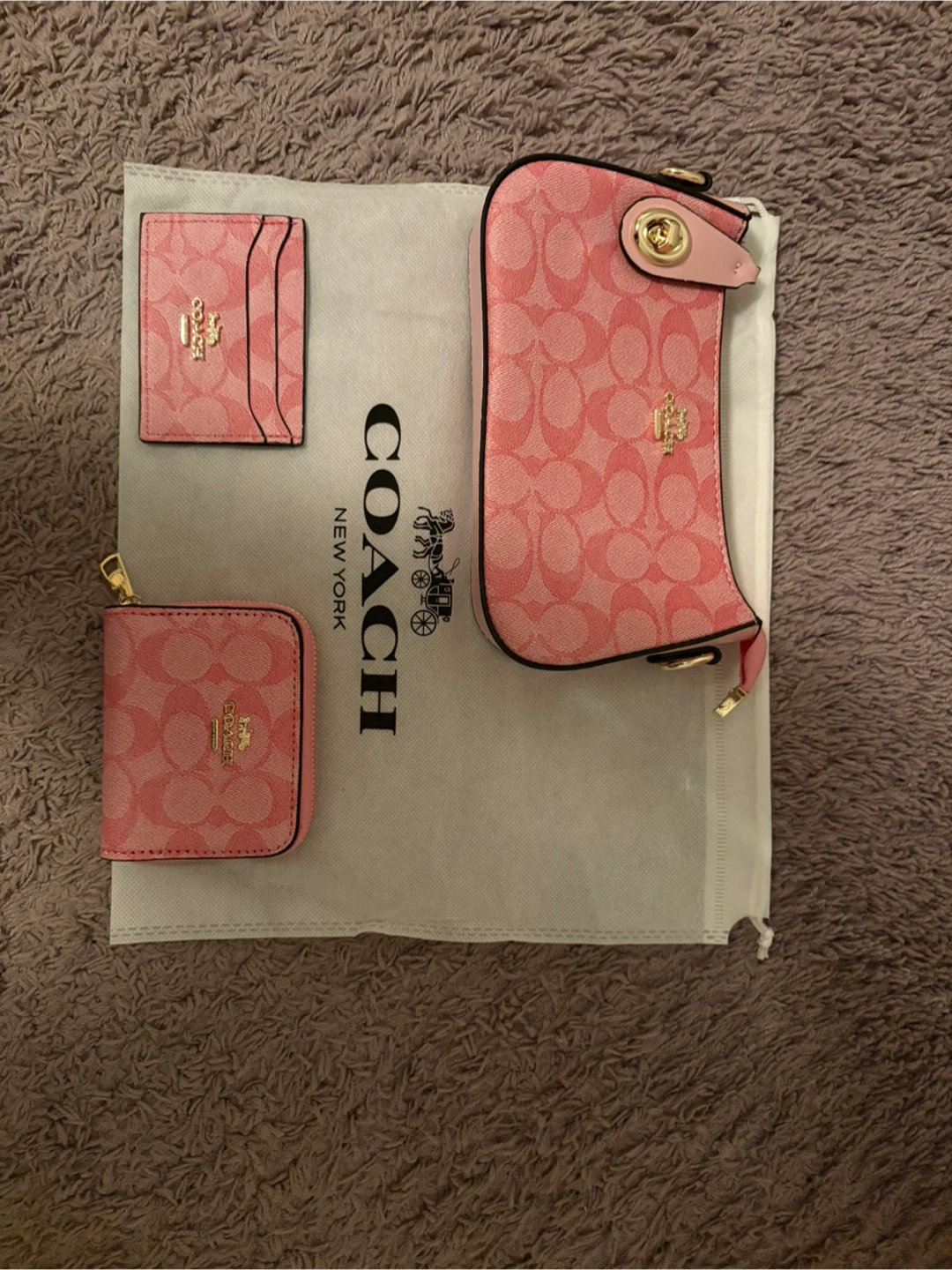 Coach Pink Signature Accessory Set