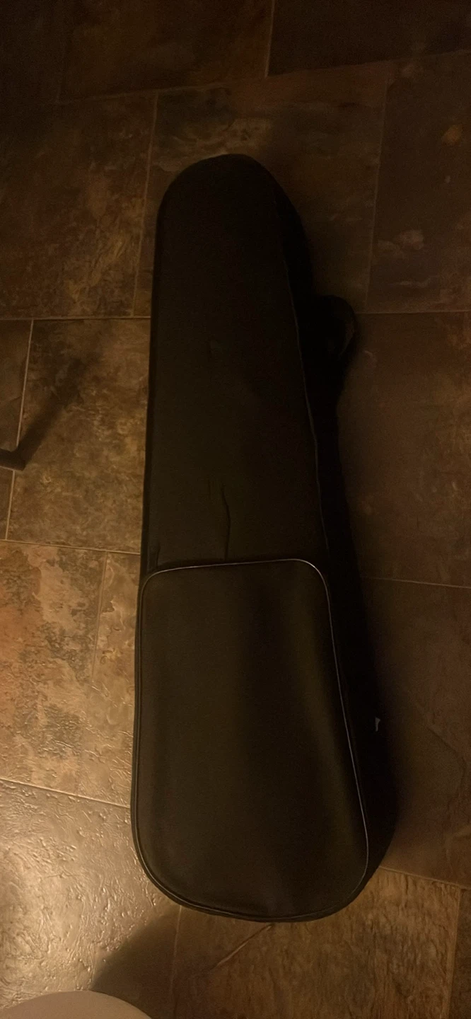 Violin