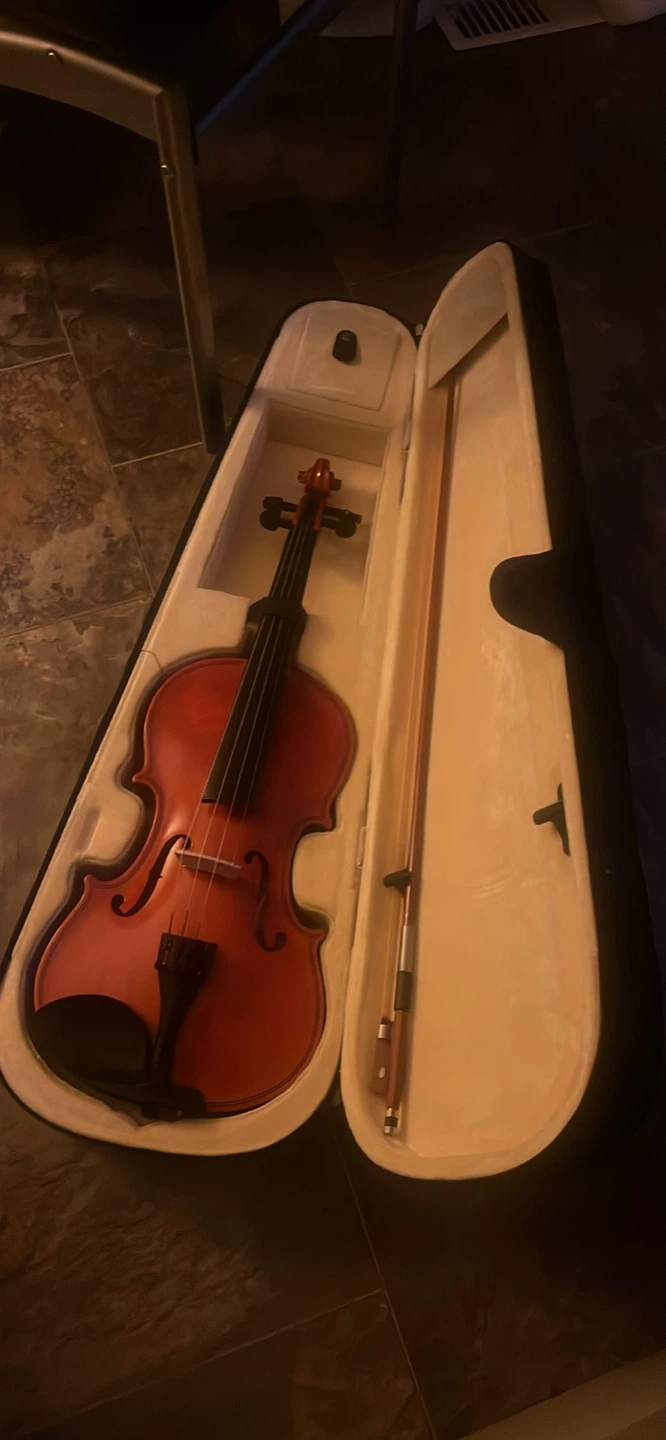 Violin - photo 2
