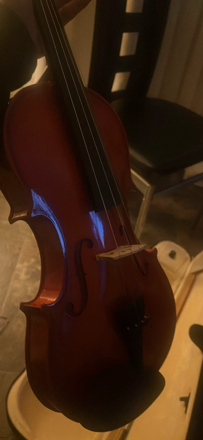 Violin - photo 3