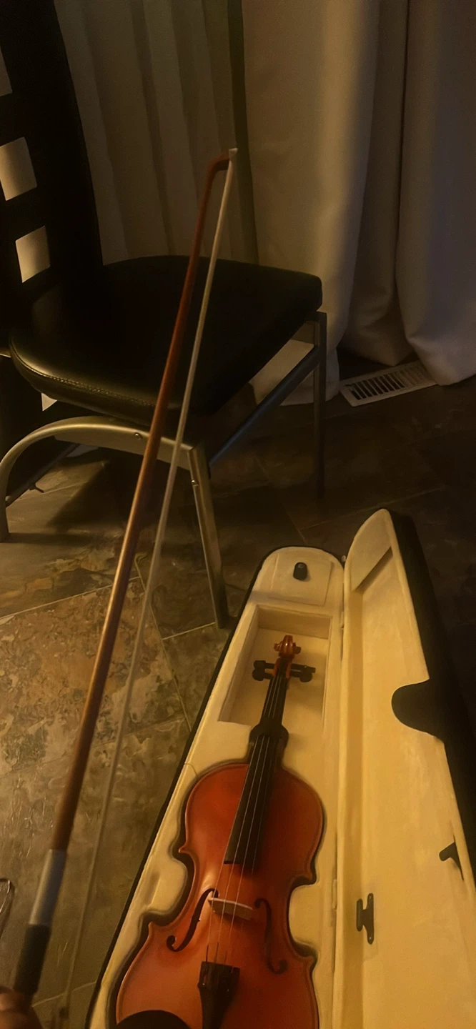 Violin - photo 4