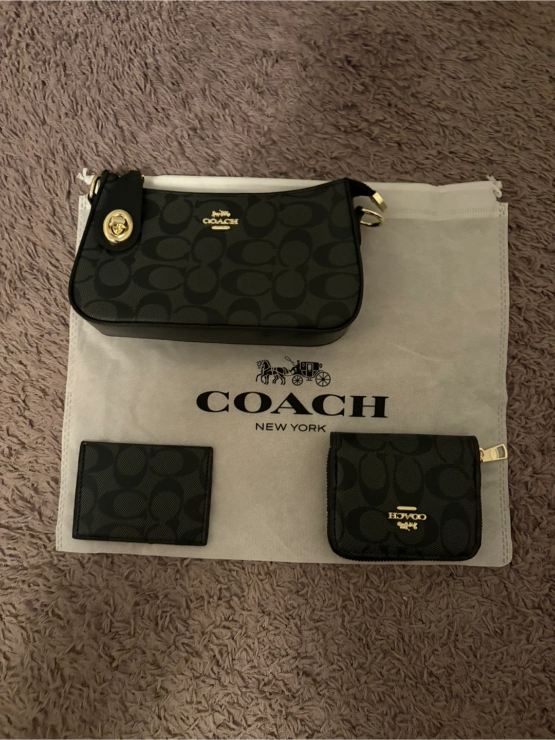 Coach Signature Canvas Bag and Wallet Set