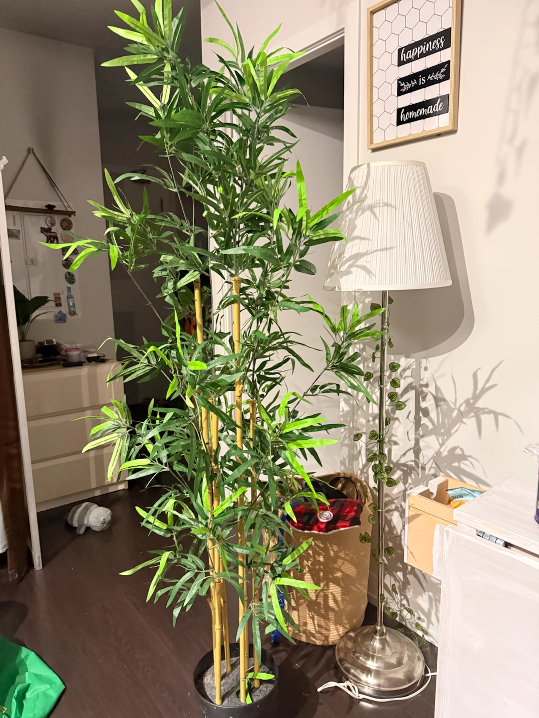 Ikea Bamboo plant - photo 2