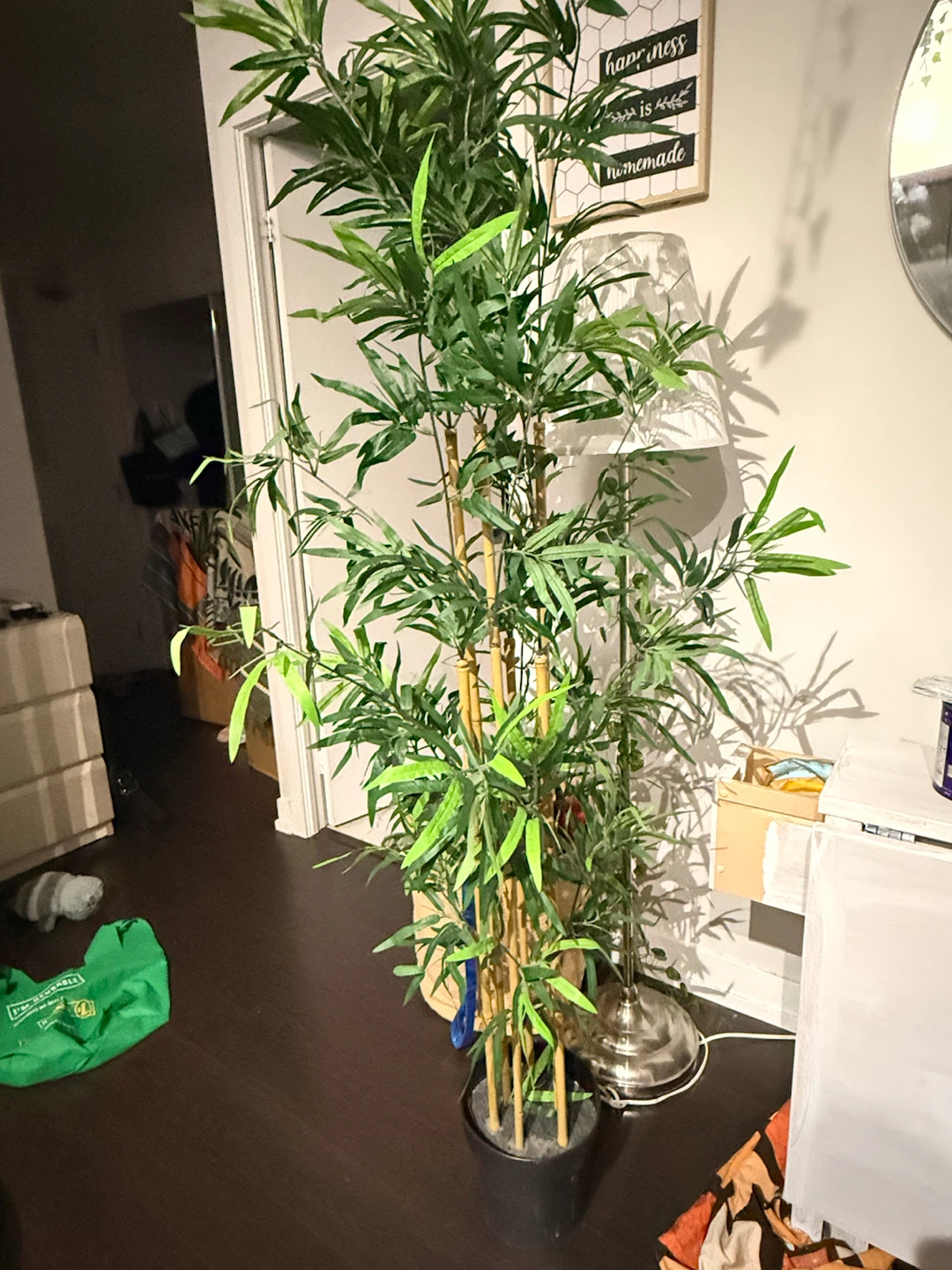 Ikea Bamboo plant - photo 4