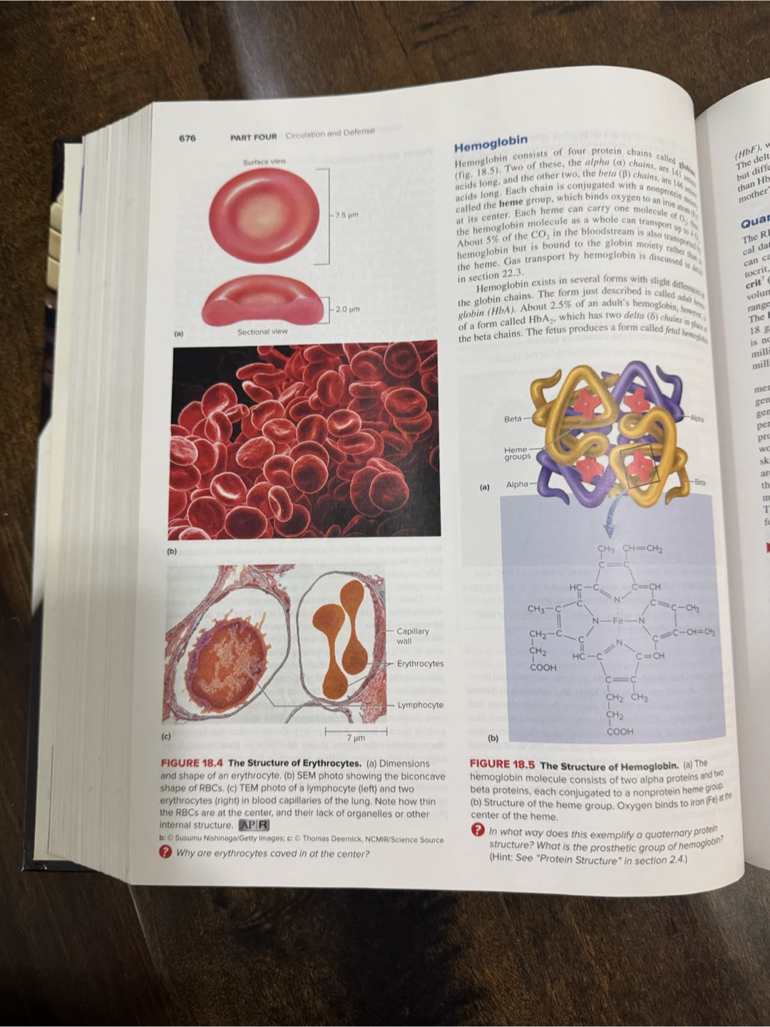 Anatomy & Physiology The Unity of Form and Function 8th Ed - photo 3