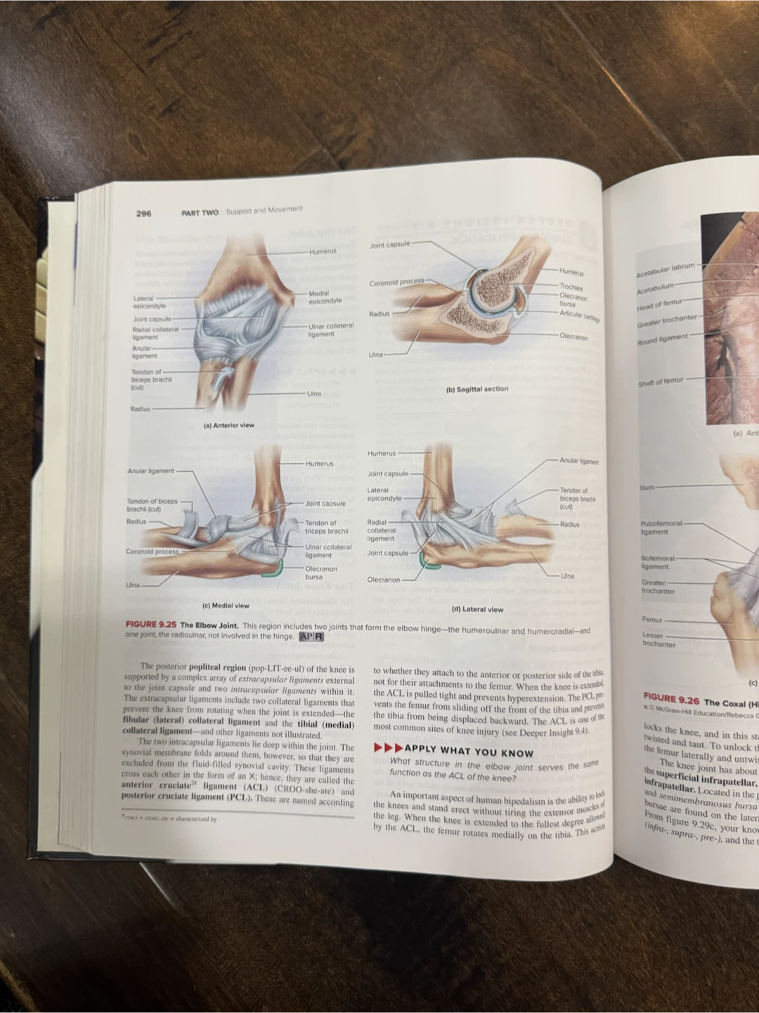 Anatomy & Physiology The Unity of Form and Function 8th Ed - photo 4